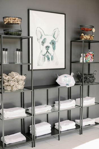 Shelving in the pet spa room with towels and a painting of a dog
